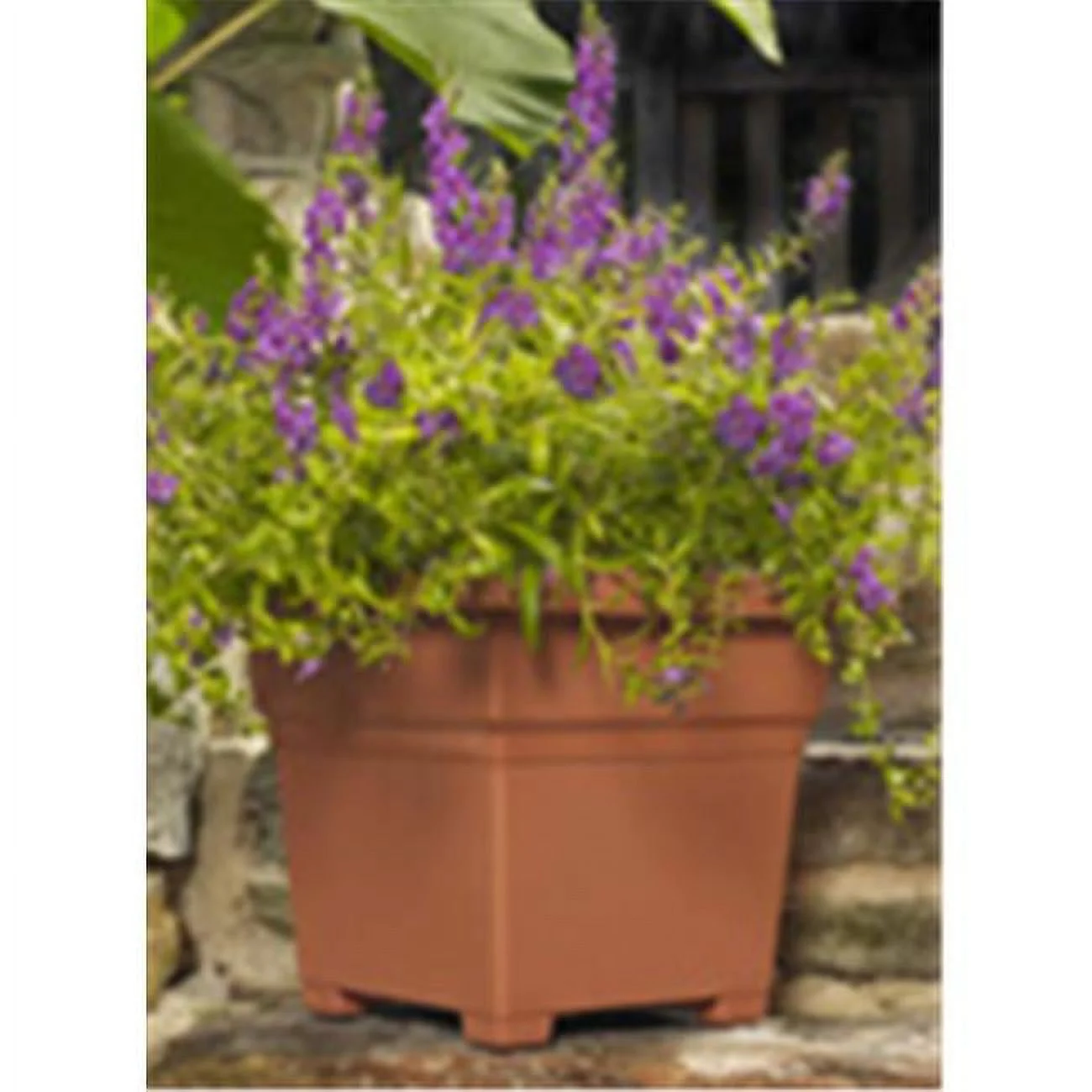 Countryside Tub Planter Clay - 26145