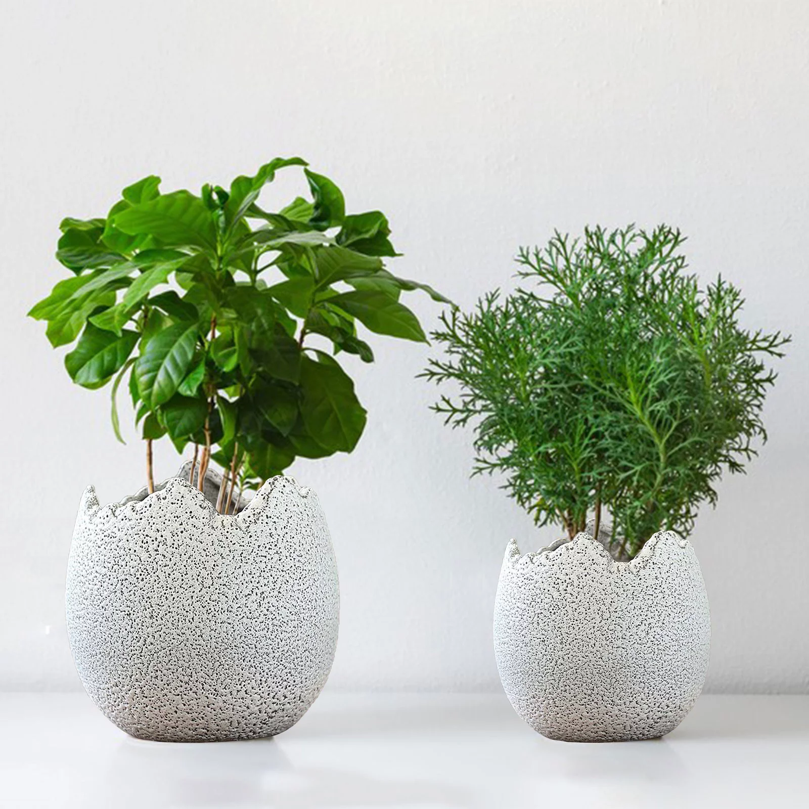 Bnnlsa Plant Pots with Drainage Meaty Flowerpot Ceramic Potted Rough Pottery Breathable Simple Personality Eggshell Meat Plant Old Pile Flowerpot