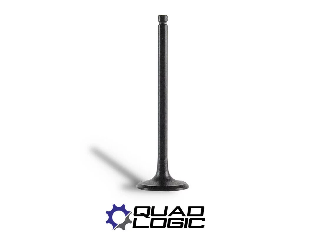 Polaris 2012-21 RZR 570 Ranger 570 ACE 570 Sportsman 570 EXHAUST Valve - 3022349