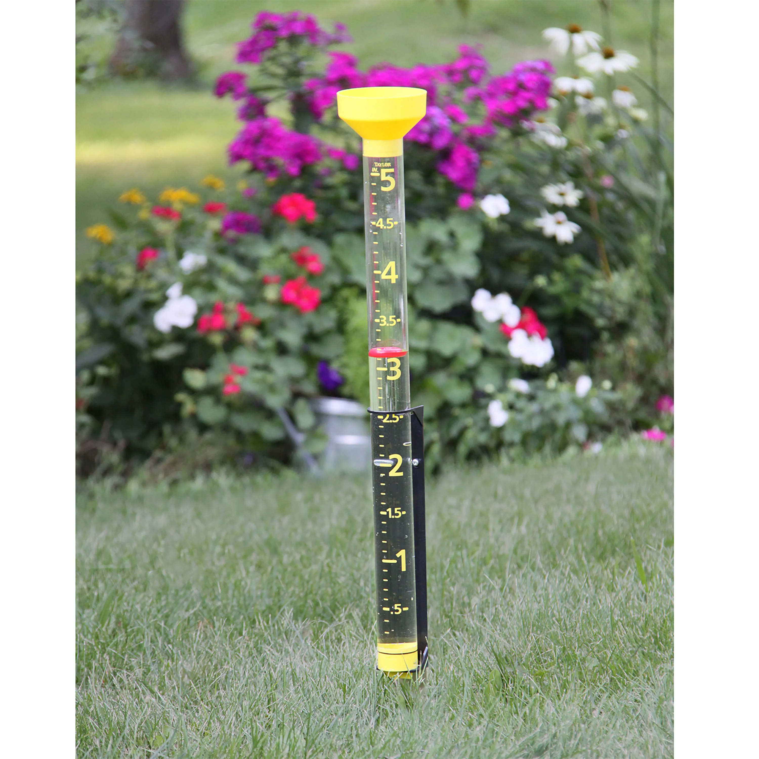 Taylor ClearVu Jumbo Jr. Rain Gauge