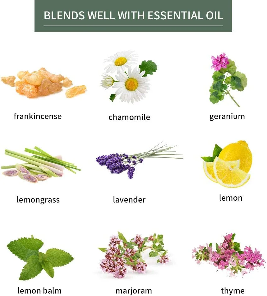 Sedbuwza Essential Oils 100% Pure Eucalyptus, Rose, Chamomile Set 10ml