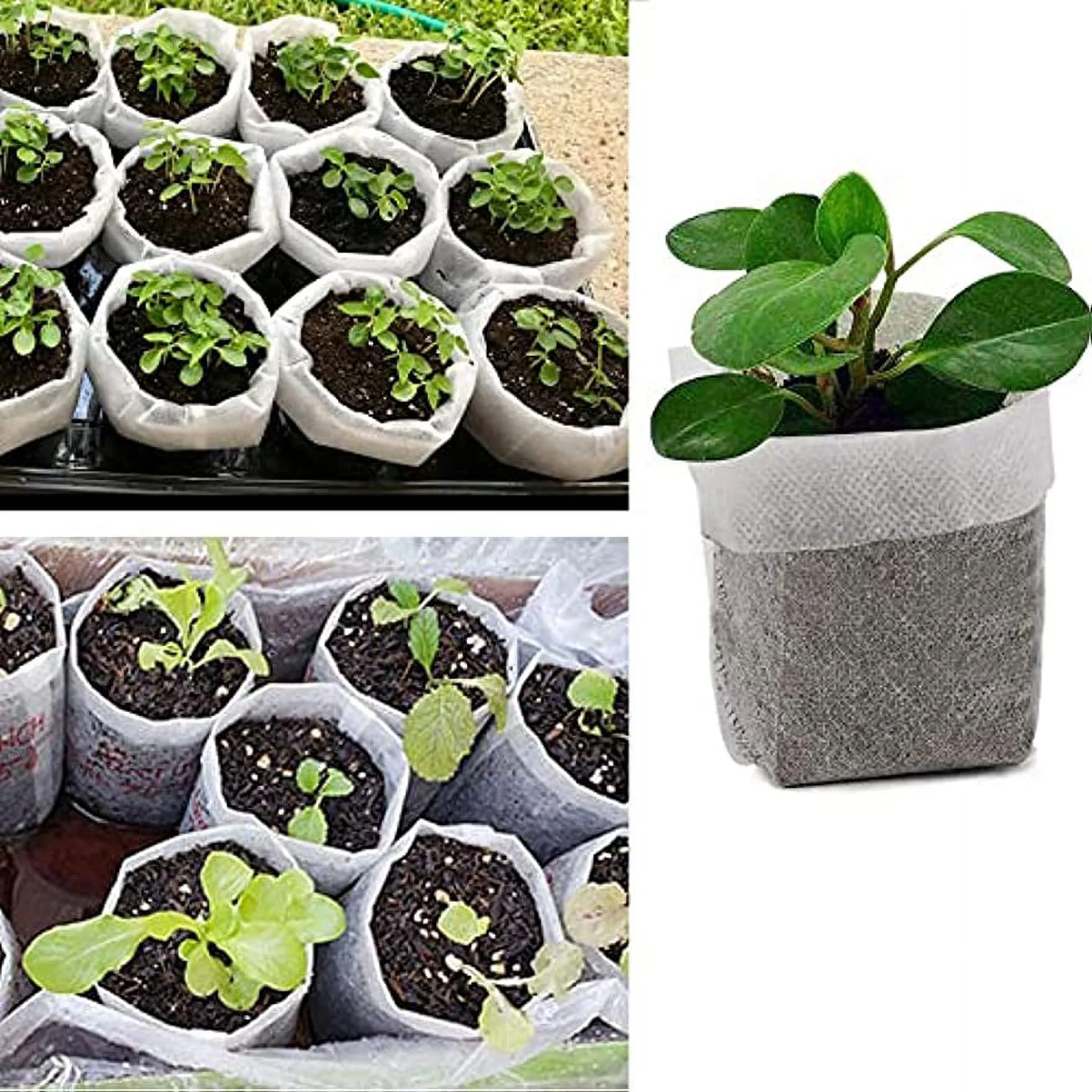 Seedling Nursery Bags, 3.94