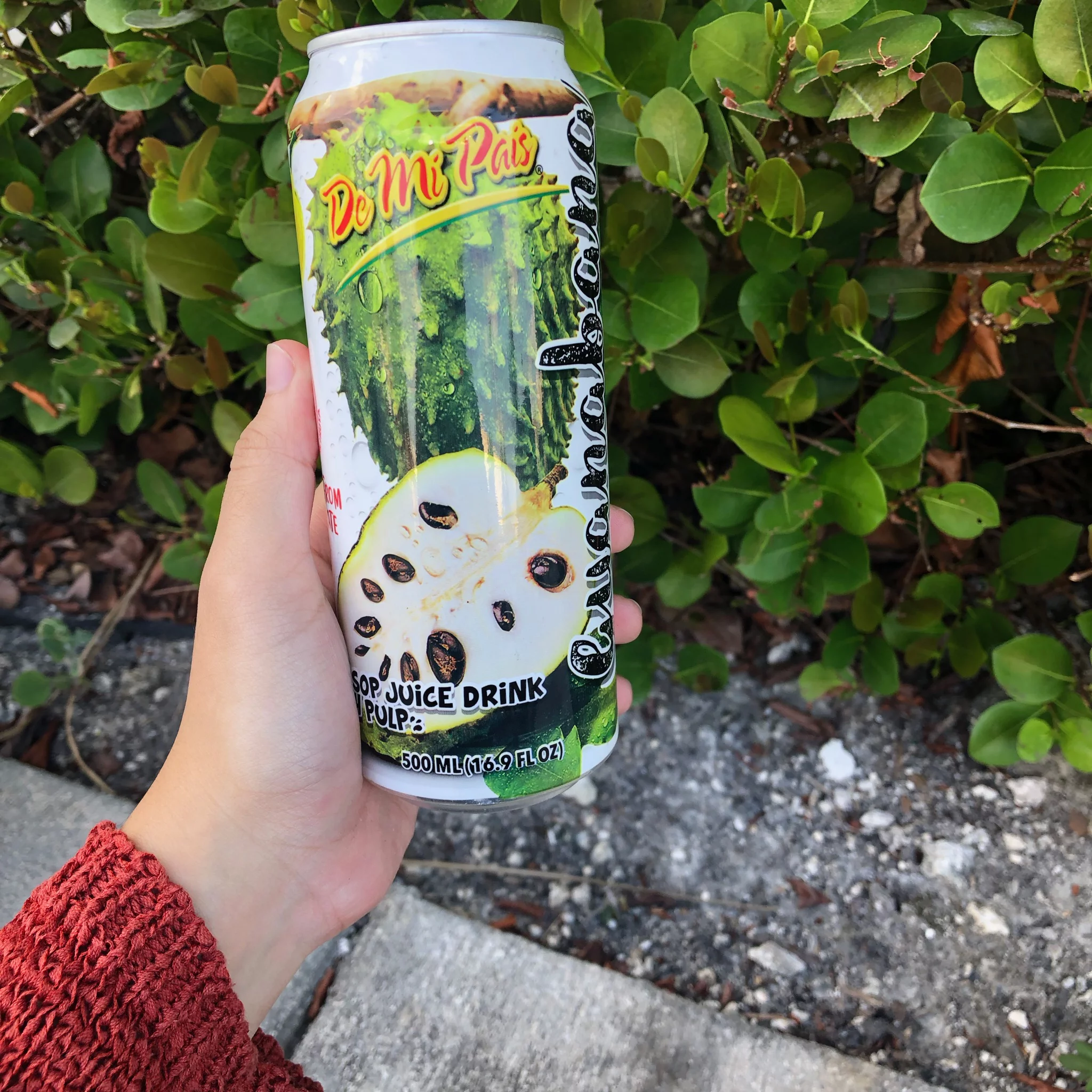 De Mi Pais Canned Soursop Fruit Juice 12-Pack