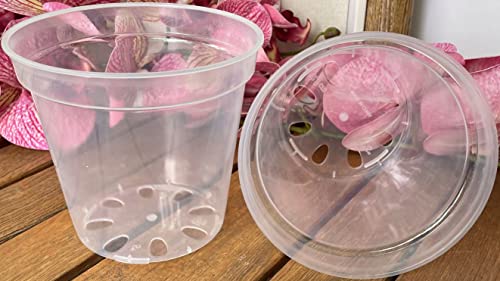 Clear Plastic Pot - Virtually Clear 4 inch Pot - Quantity 5