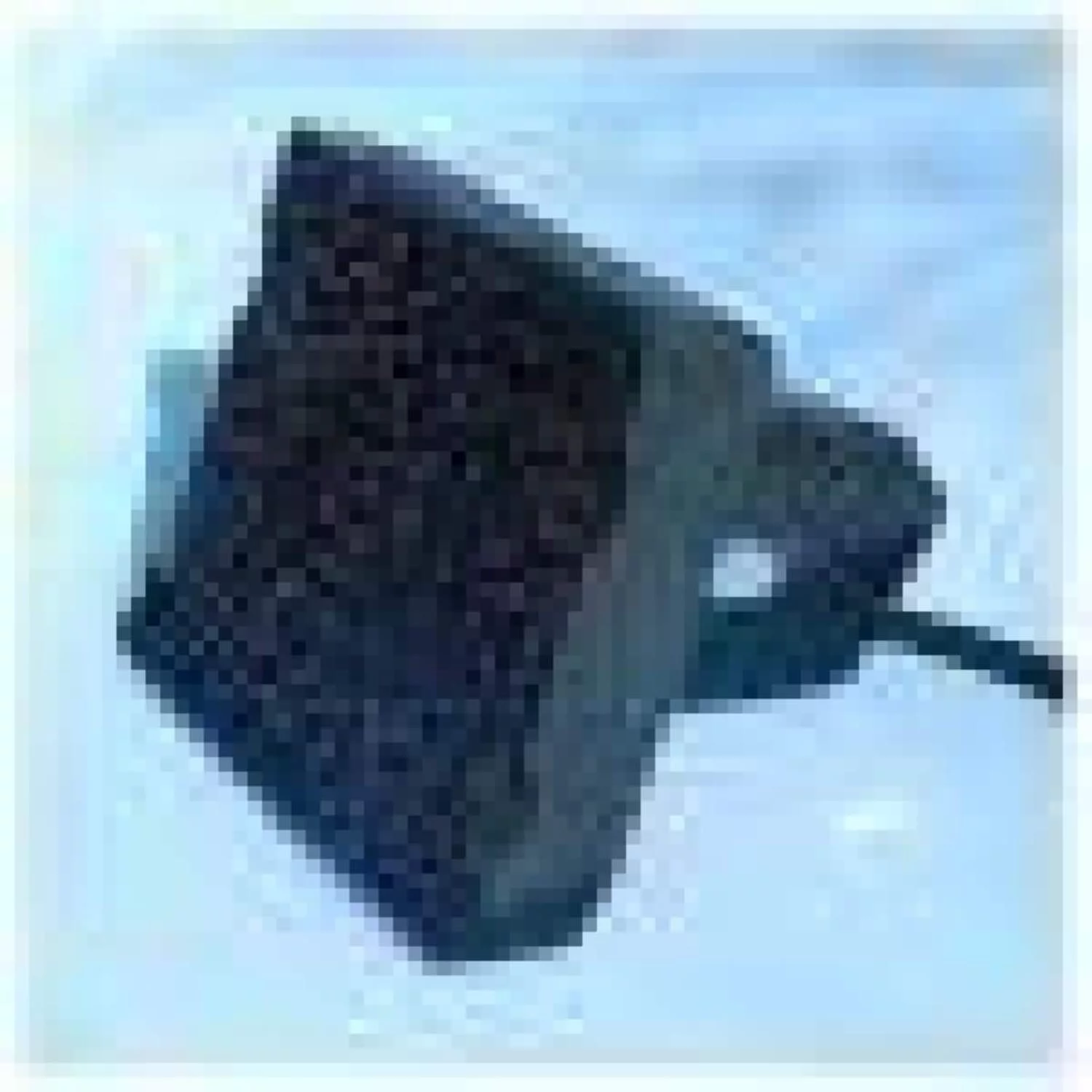 Hot Tub Maintenance  Cleaning Submersible Pump 6320