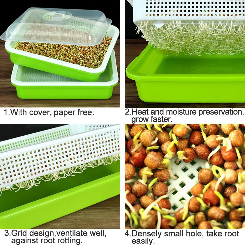 Style That Baby Seed Sprouter Tray Seed Sprouter Tray Seed Sprouter Tray Double Layer Soilless Tray Germination