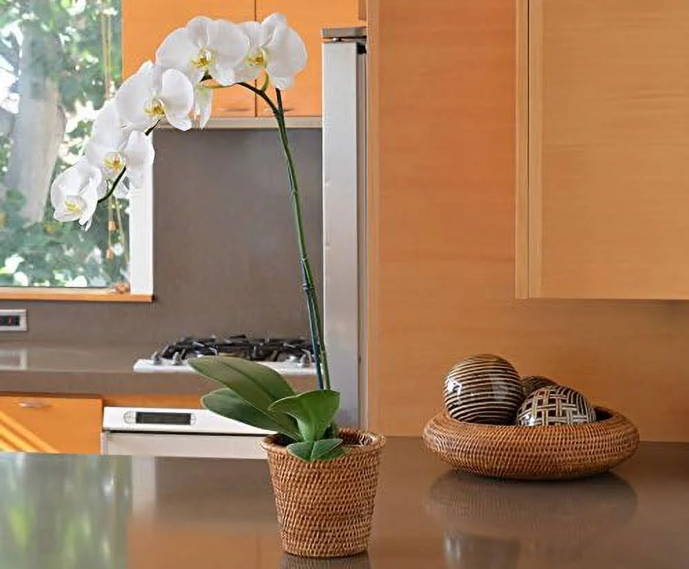 1080025 La Jolla Rattan Planter, Small, Brown