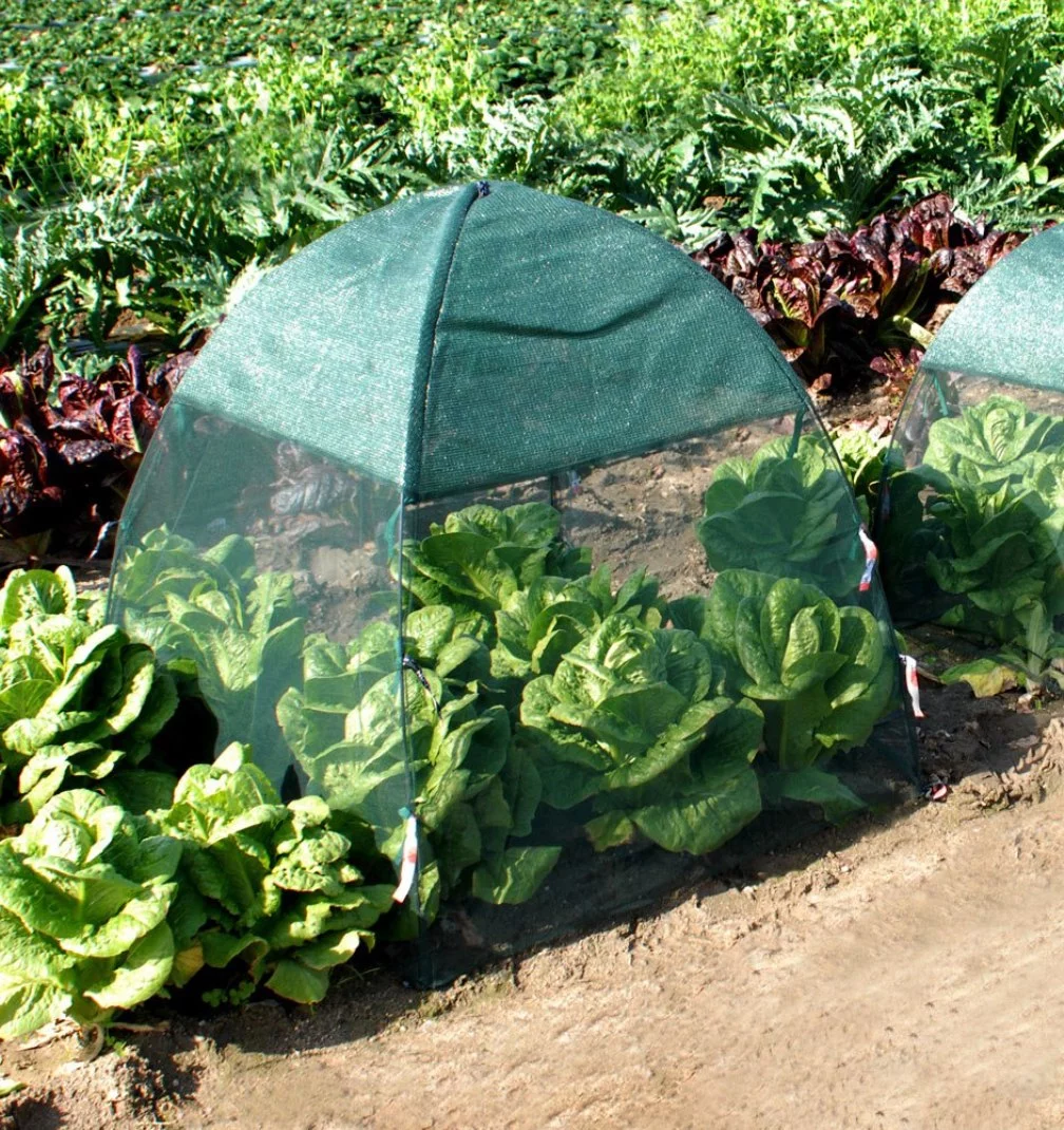 NuVue Products 24209, Bug and Shade Greenhouse Cover: 52