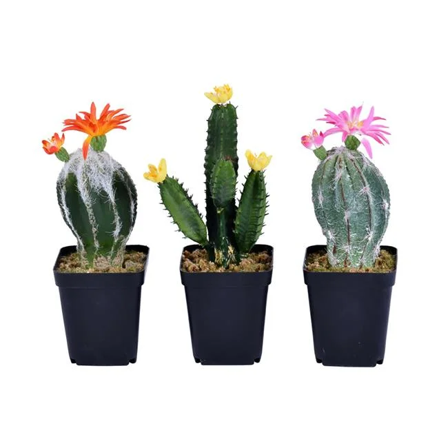 8 in. Green Potted Cactus Plastic Planter Pot - Set of 3