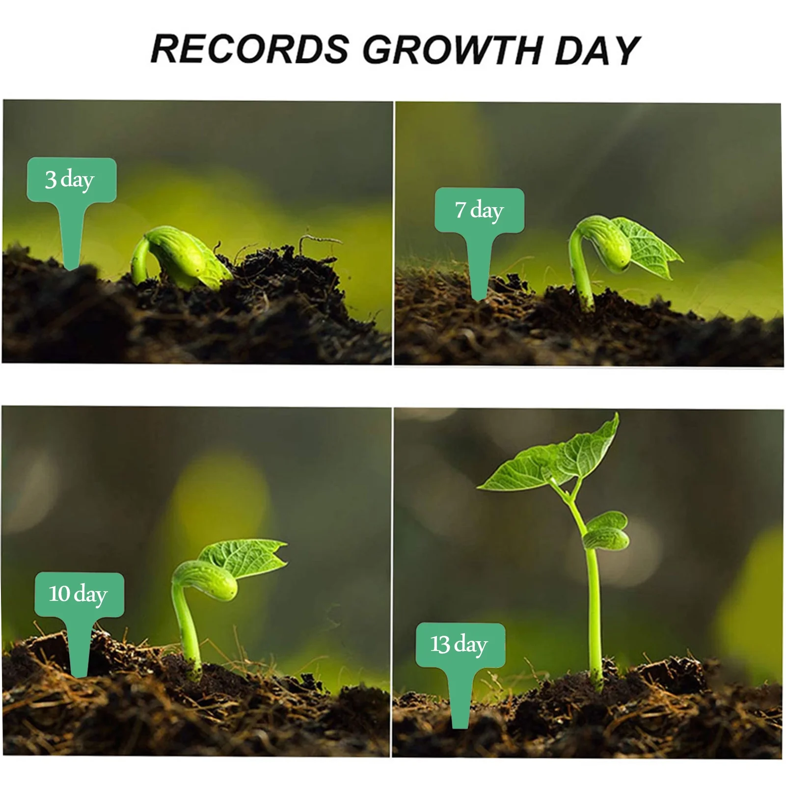 Walmeck iron box,Dibbles Dibbers Soil Tool Dibbles Dibbers Soil Block Maker Blocker 2-Inch Soil 2-Inch Soil Block Maker Soil Tool Block Maker Soil Handheld Soil Blocker Soil Tool Dibbles LAOSHE ANRIO