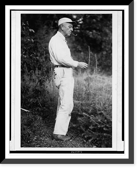 Historic Framed Print, [Aldo Leopold examining tamarack, presumably at his Sauk County, Wisconsin retreat], 17-7/8