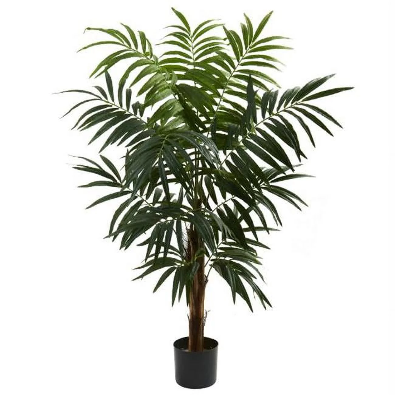 4.5&rsquo; Bulb Areca Tree
