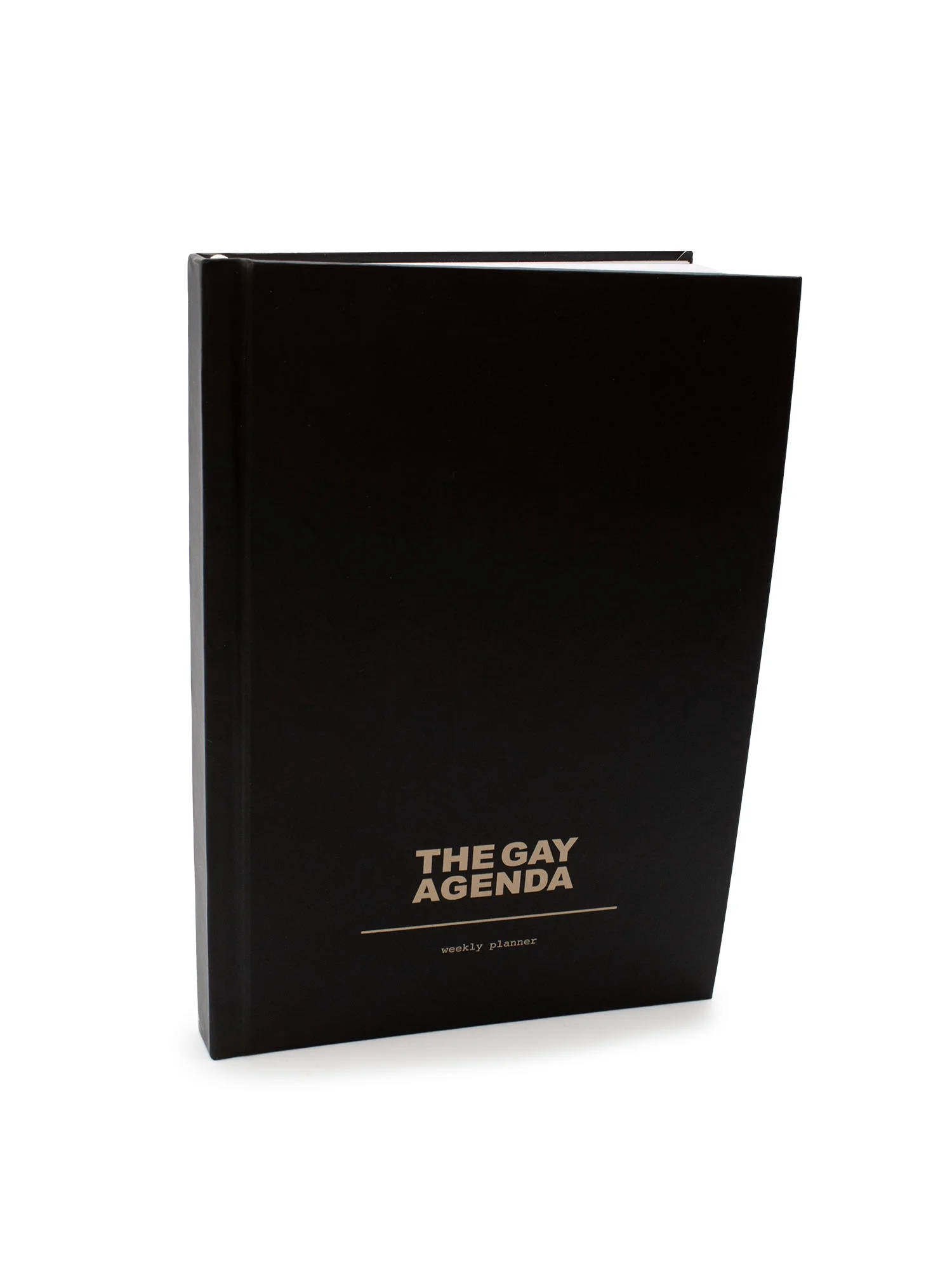 Zaddy Earth Gay Agenda Planner