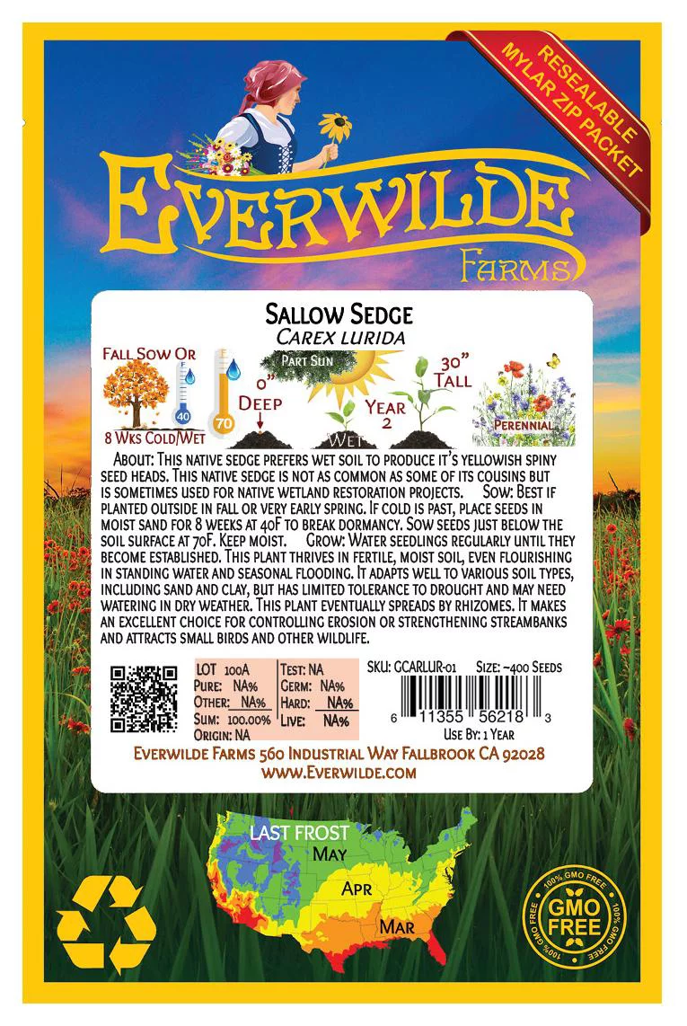 Everwilde Farms - 400 Sallow Sedge Native Grass Seeds - Gold Vault Jumbo Bulk Seed Packet