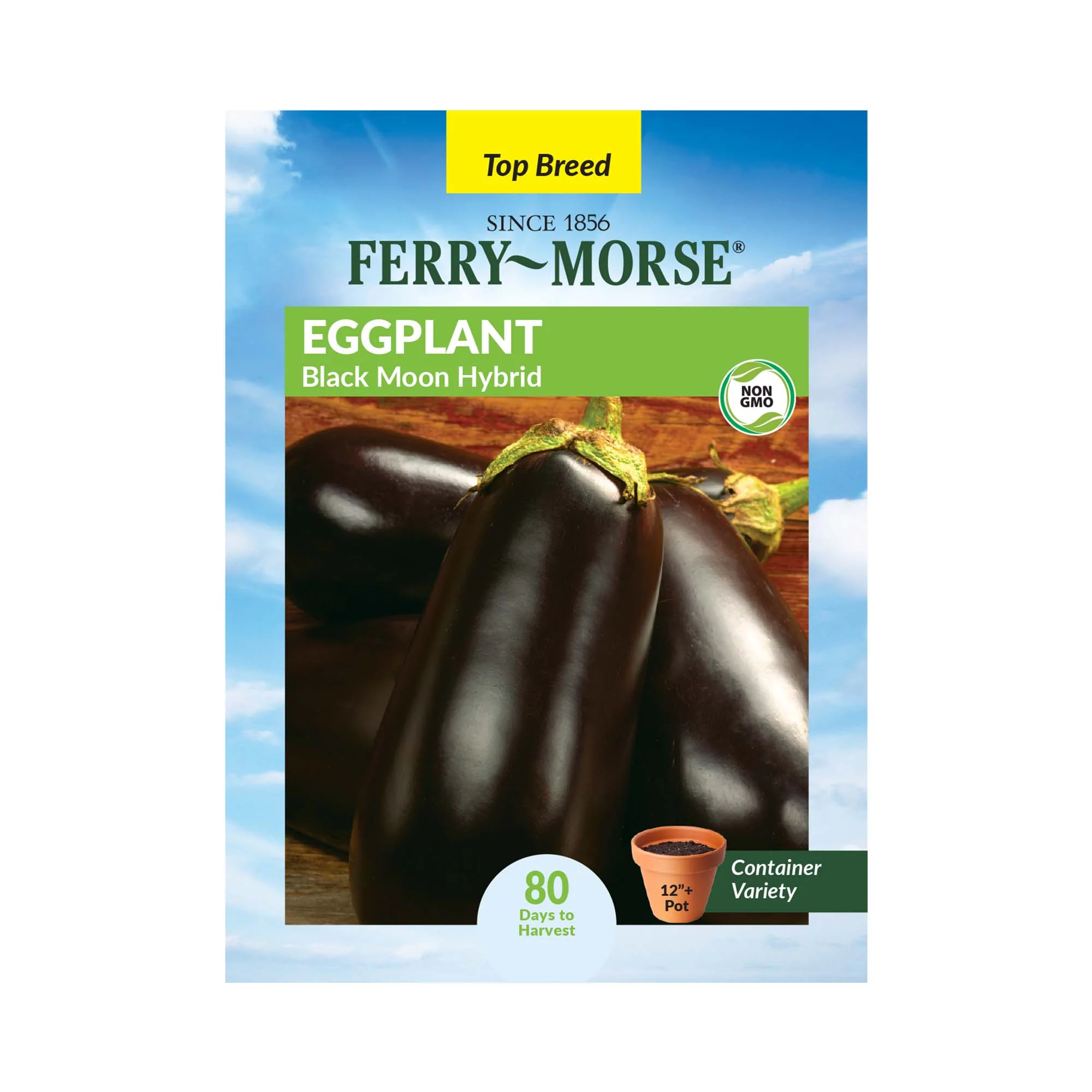 Ferry-Morse 180MG Eggplant Black Moon Hybrid Vegetable Plant Seeds Full Sun