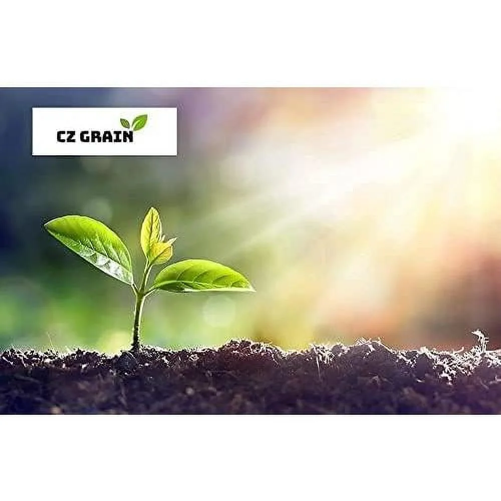 6 Inch Bonsai Pots And Drip Trays - Starter Bonsai Pots, Small Bonsai Pots (12 Pots)