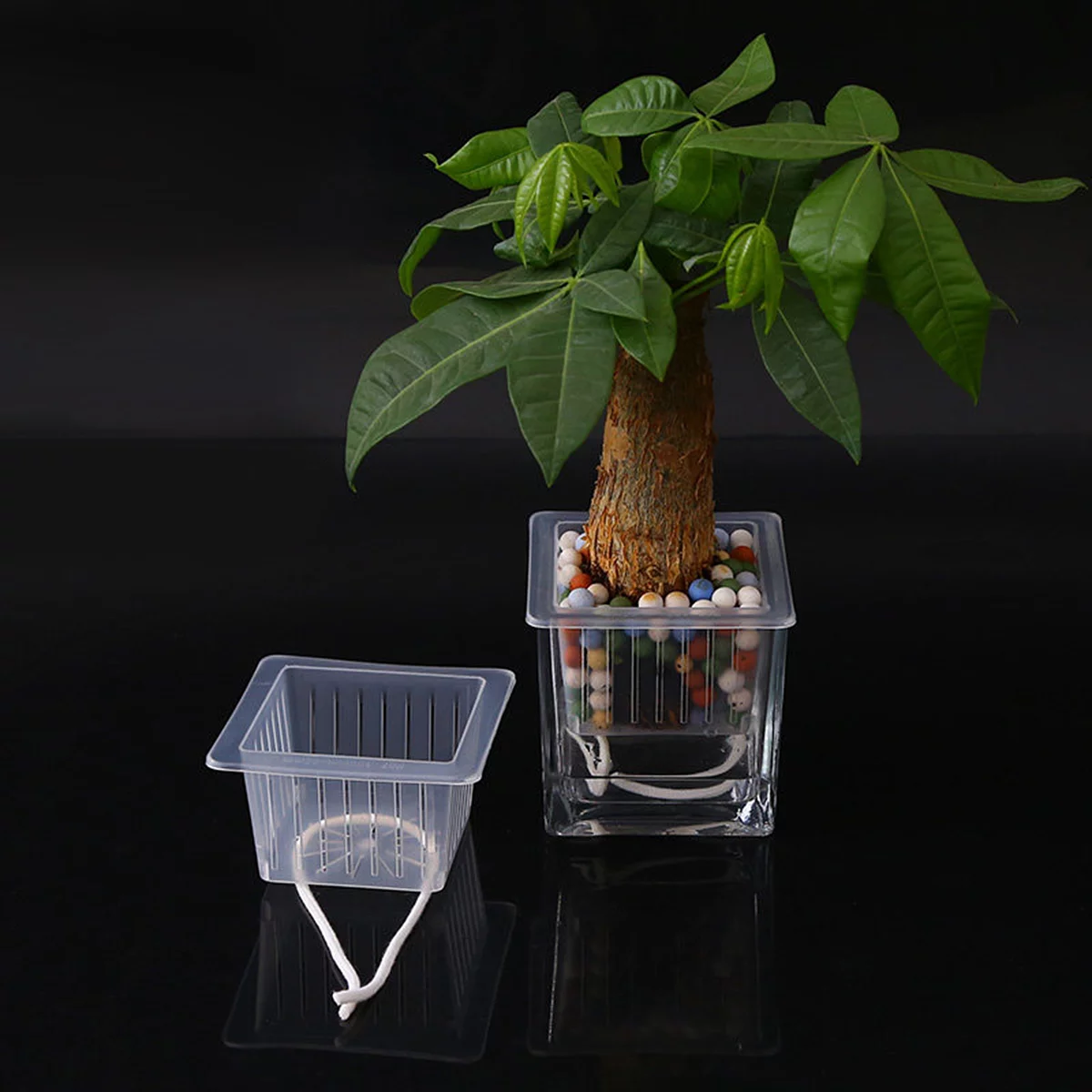 Guichaokj 10pcs Planting Basket Green Planting Root Square Plant Water Culture Flower Garden Balcony Planting Soilless Cultivation Pots with Cotton Rope (White)