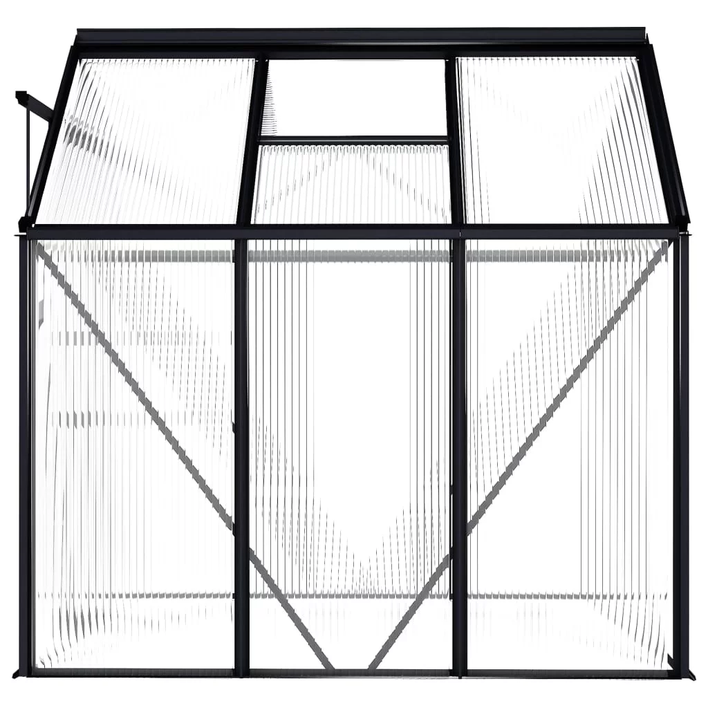 Greenhouse Anthracite Aluminum 38.9 ft2