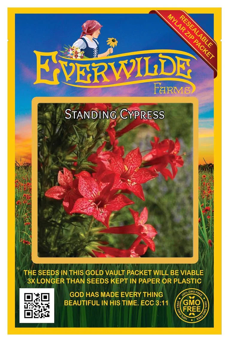 Everwilde Farms - 1200 Standing Cypress Native Wildflower Seeds - Gold Vault Jumbo Bulk Seed Packet