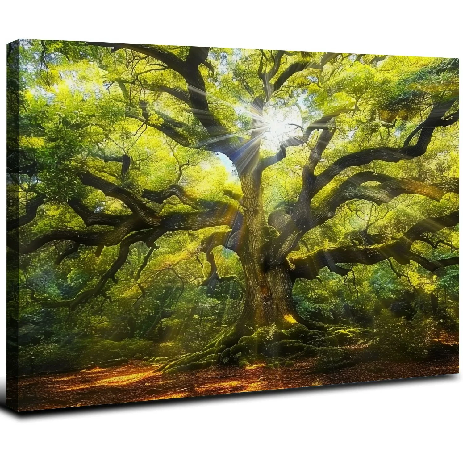 Zhiwo Landscape Canvas Artwork Angel Oak Tree Picture Prints Sunshine Through Tree Canvas Green Oak Tree Painting South Carolina Tree Print Framed and Stretched Nature Canvas 16x12inch