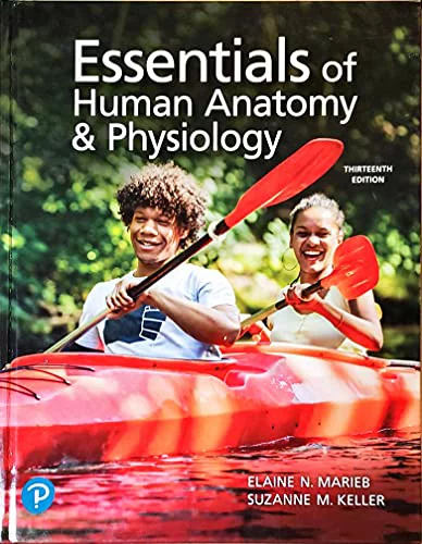 Pre-Owned Essentials of Human Anatomy & Physiology, 13th edition, c.2022, 9780137321599, 0137321597 Paperback