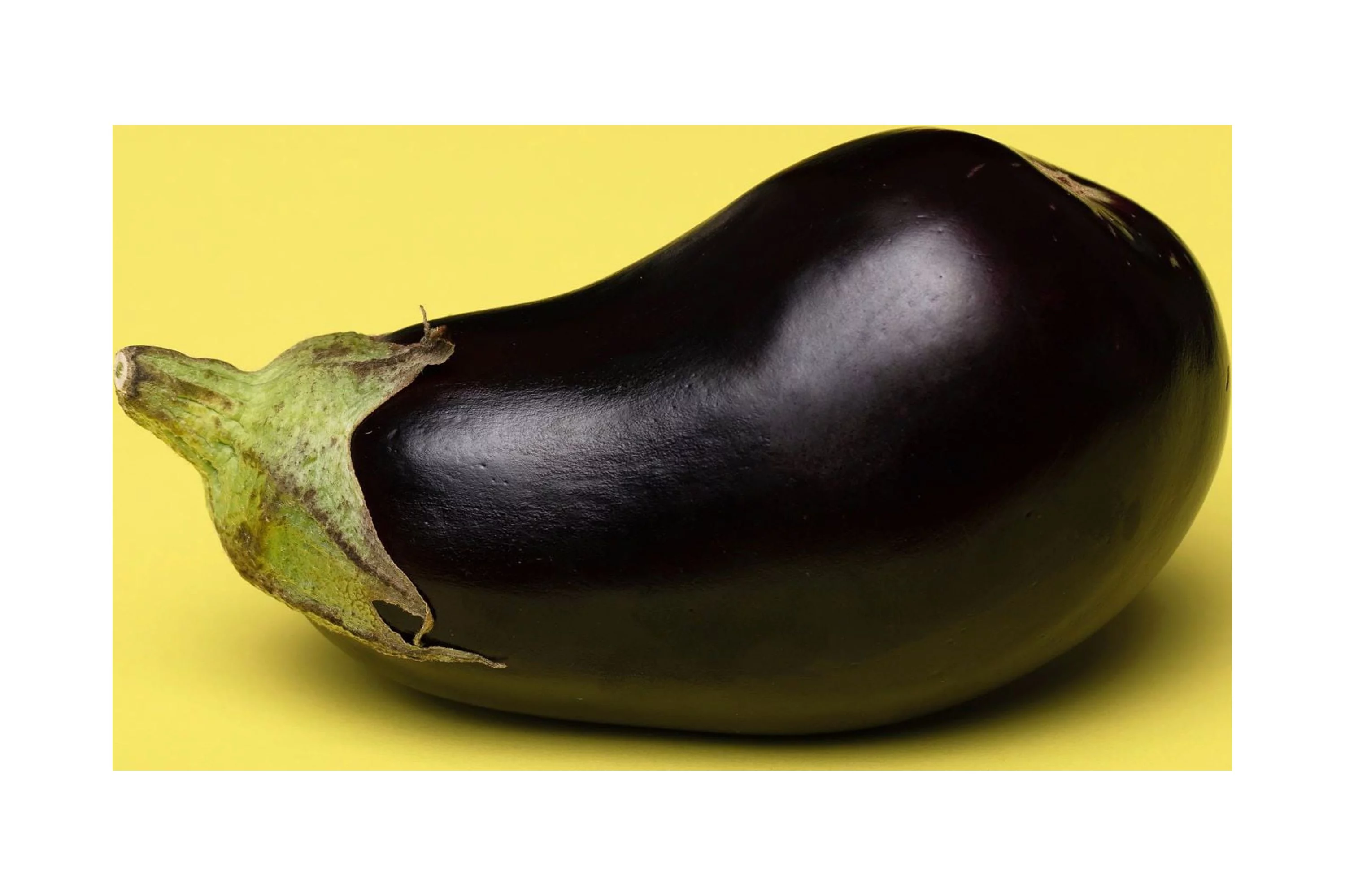 Black Beauty Eggplant Seeds/ Annual/ Full Sun/800 Seeds 1/8 oz/ Zellajake Farm and Garden - B35