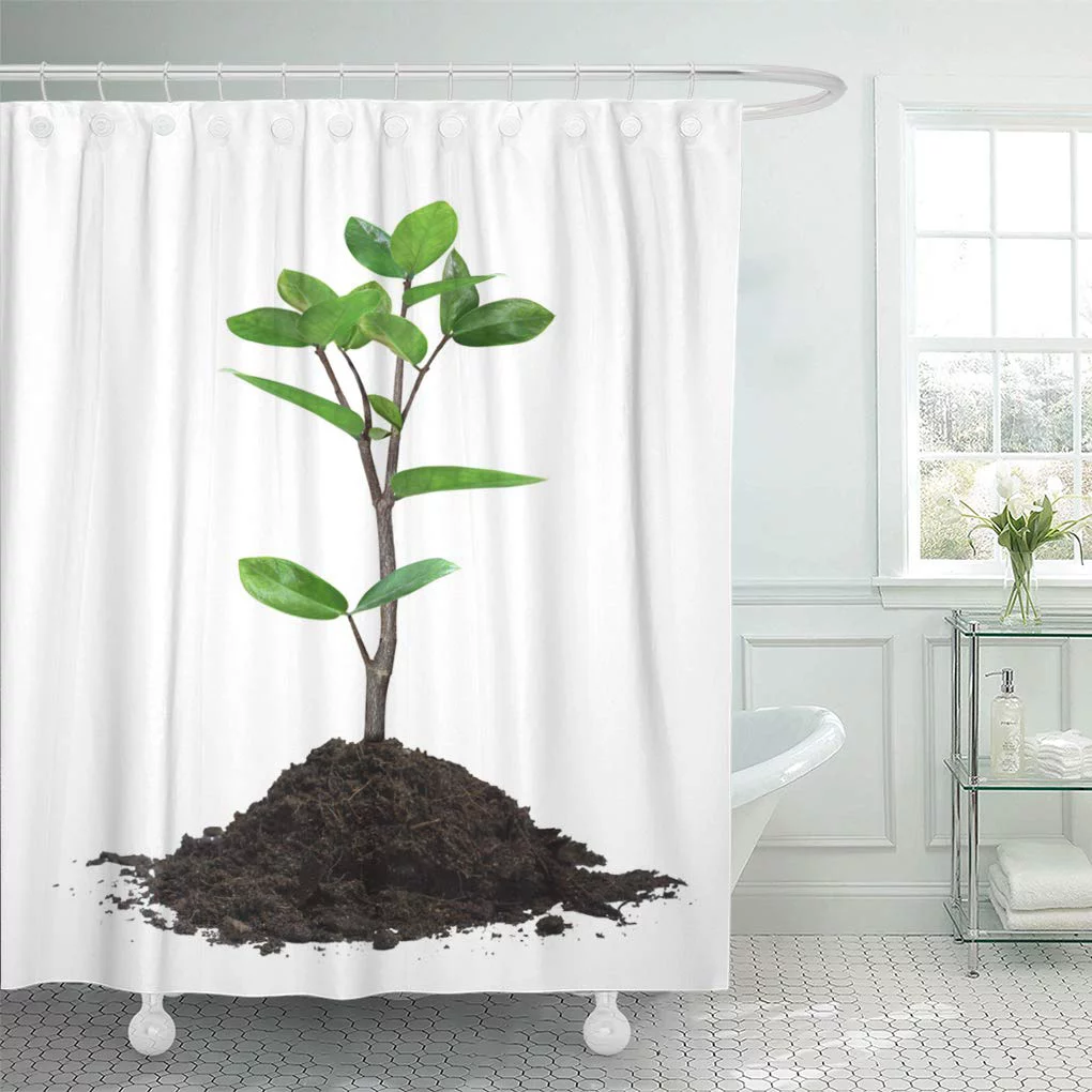CYNLON Seedling Green Sapling Young Tree in Plant White Small Bathroom Decor Bath Shower Curtain 60x72 inch