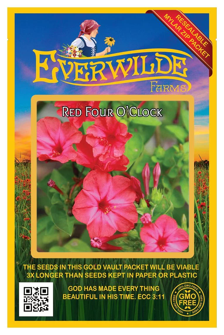 Everwilde Farms - 50 Red Four O Clock Garden Flower Seeds - Gold Vault Jumbo Bulk Seed Packet