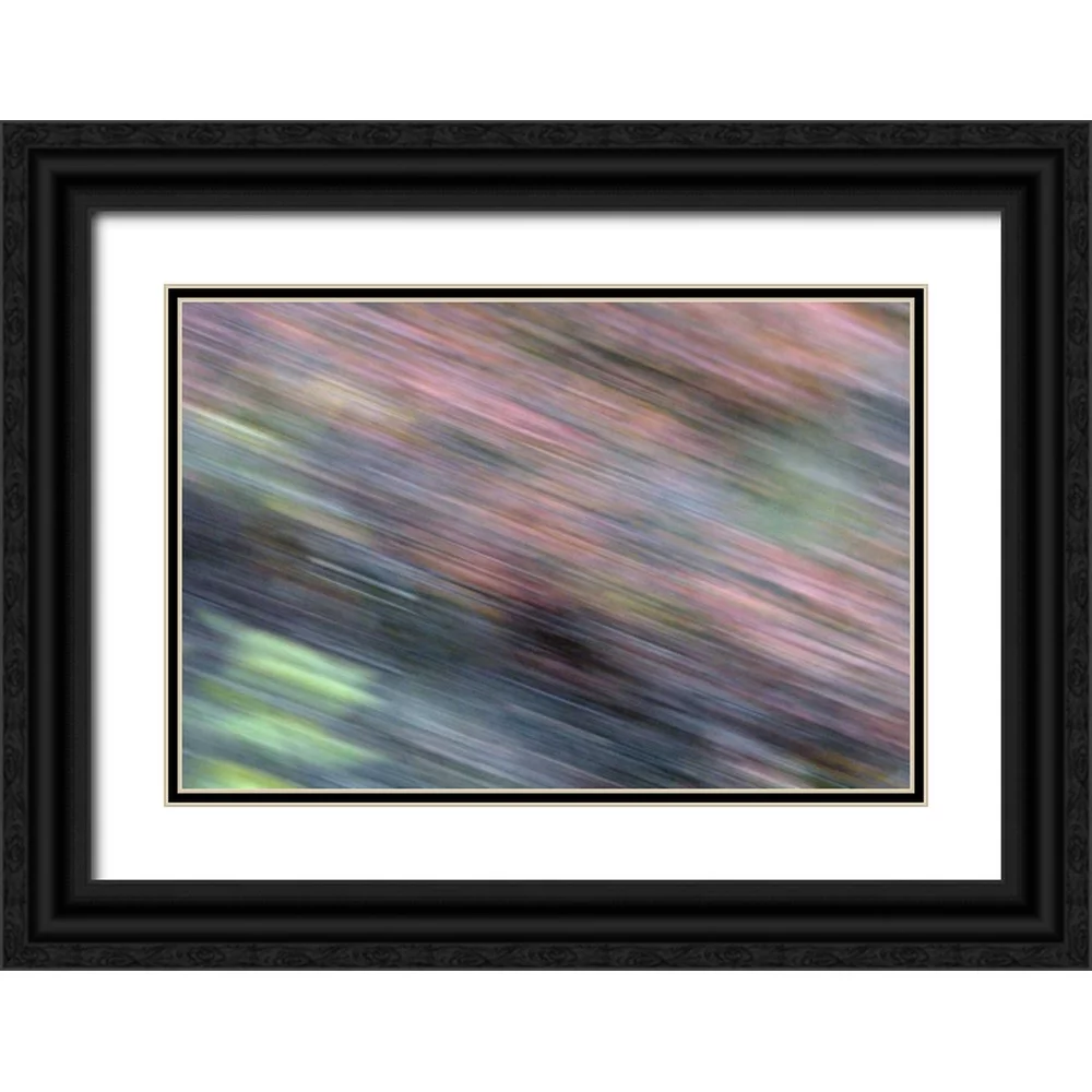 Morris, Arthur 32x23 Black Ornate Wood Framed with Double Matting Museum Art Print Titled - AK, Denali NP Blur of autumn tundra spruce trees