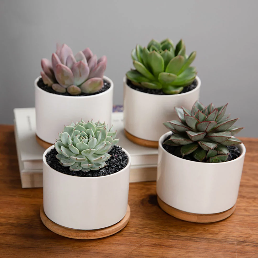 Succulent Pots,White Mini 3.15 inch Ceramic Flower Planter Pot with Bamboo Tray, Pack of 6 - Plants Not Included