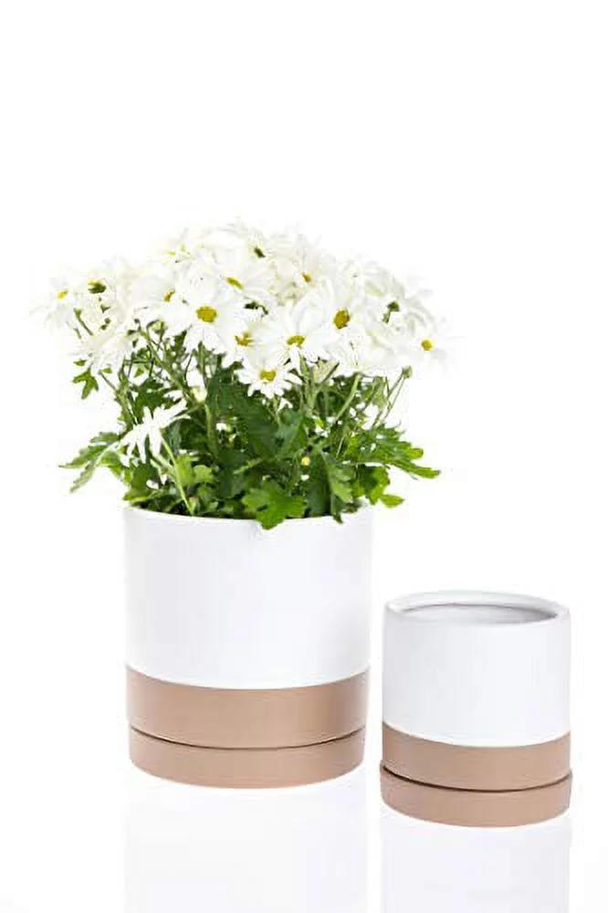 Lillian Terracotta Pot with Saucer (Brown, 5.5”x 6”) (CR6360PK)