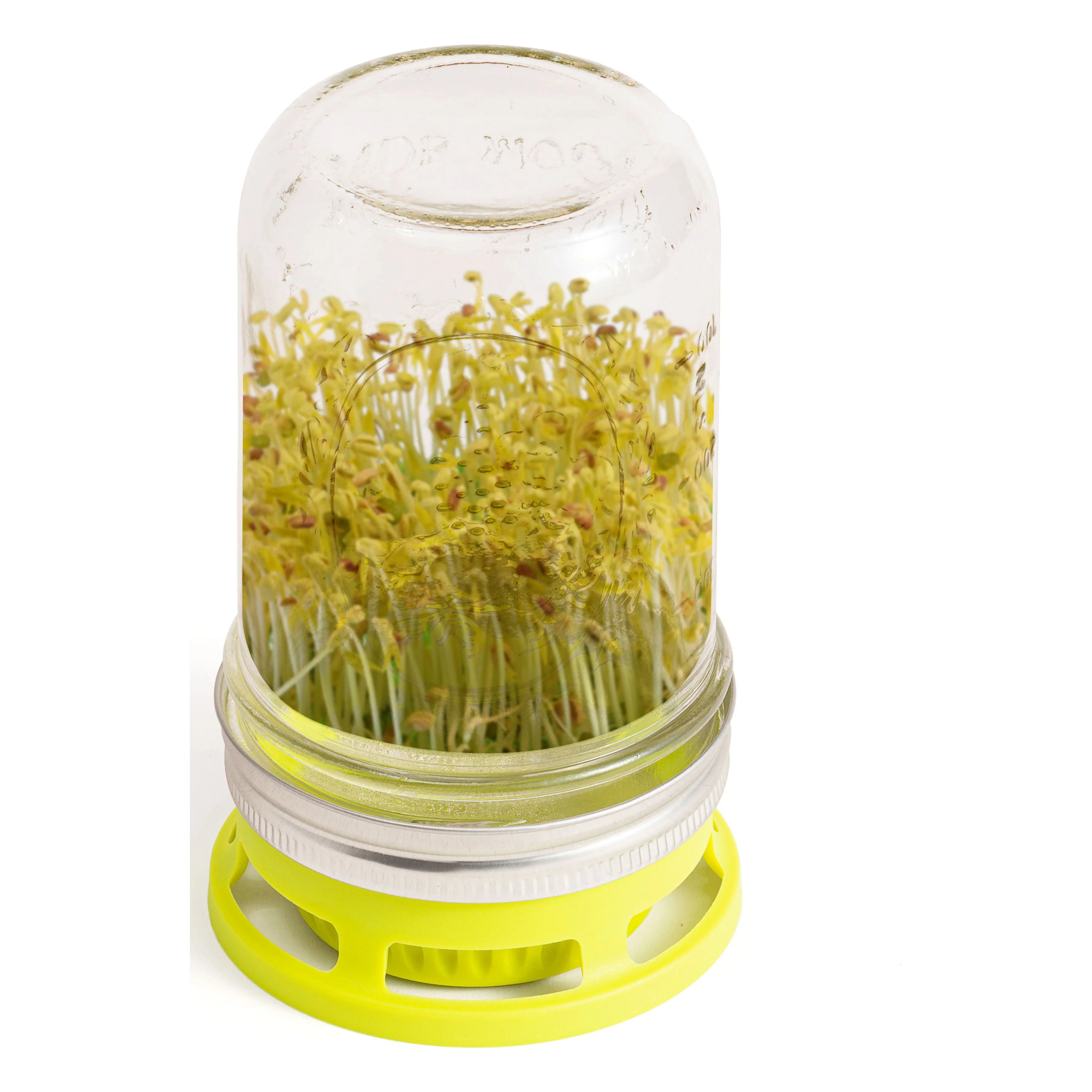 Jarware Seed Sprouter Set of 2