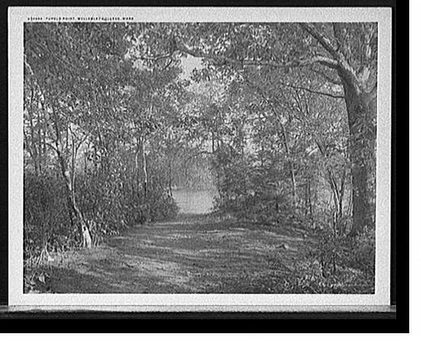Historic Framed Print, Tupelo Point, Wellesley College, Mass., 17-7/8