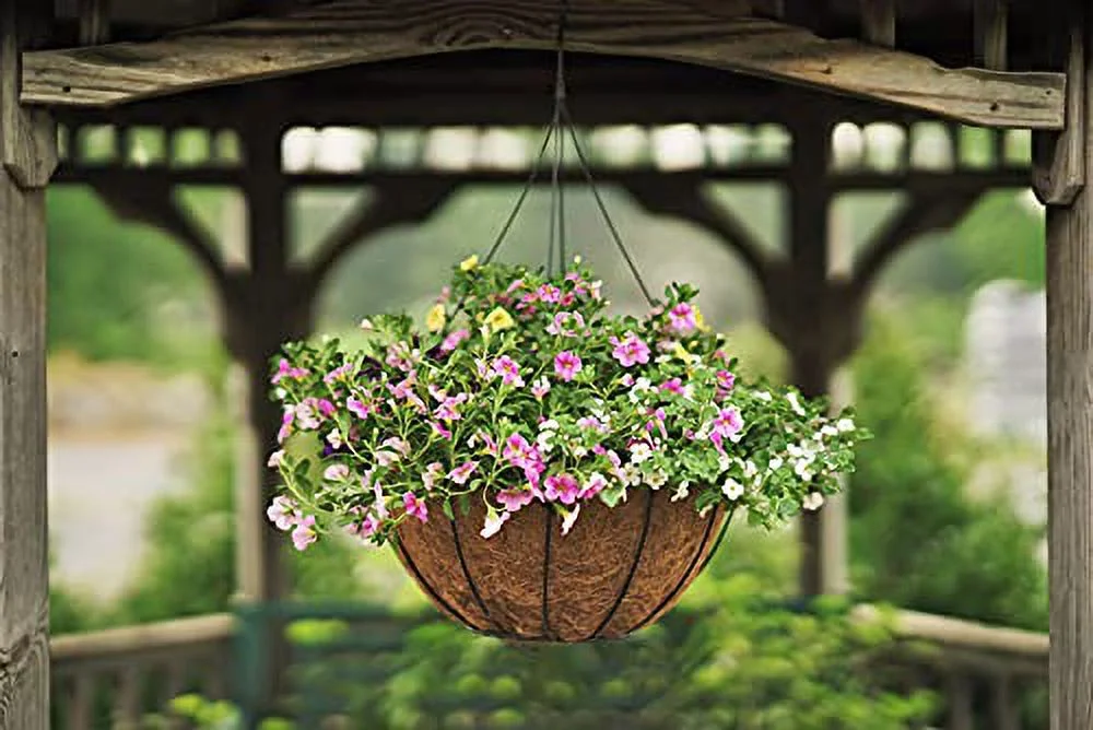 Pride Garden Products 5116PB Grower Hanging Baskets With Liner, 16”