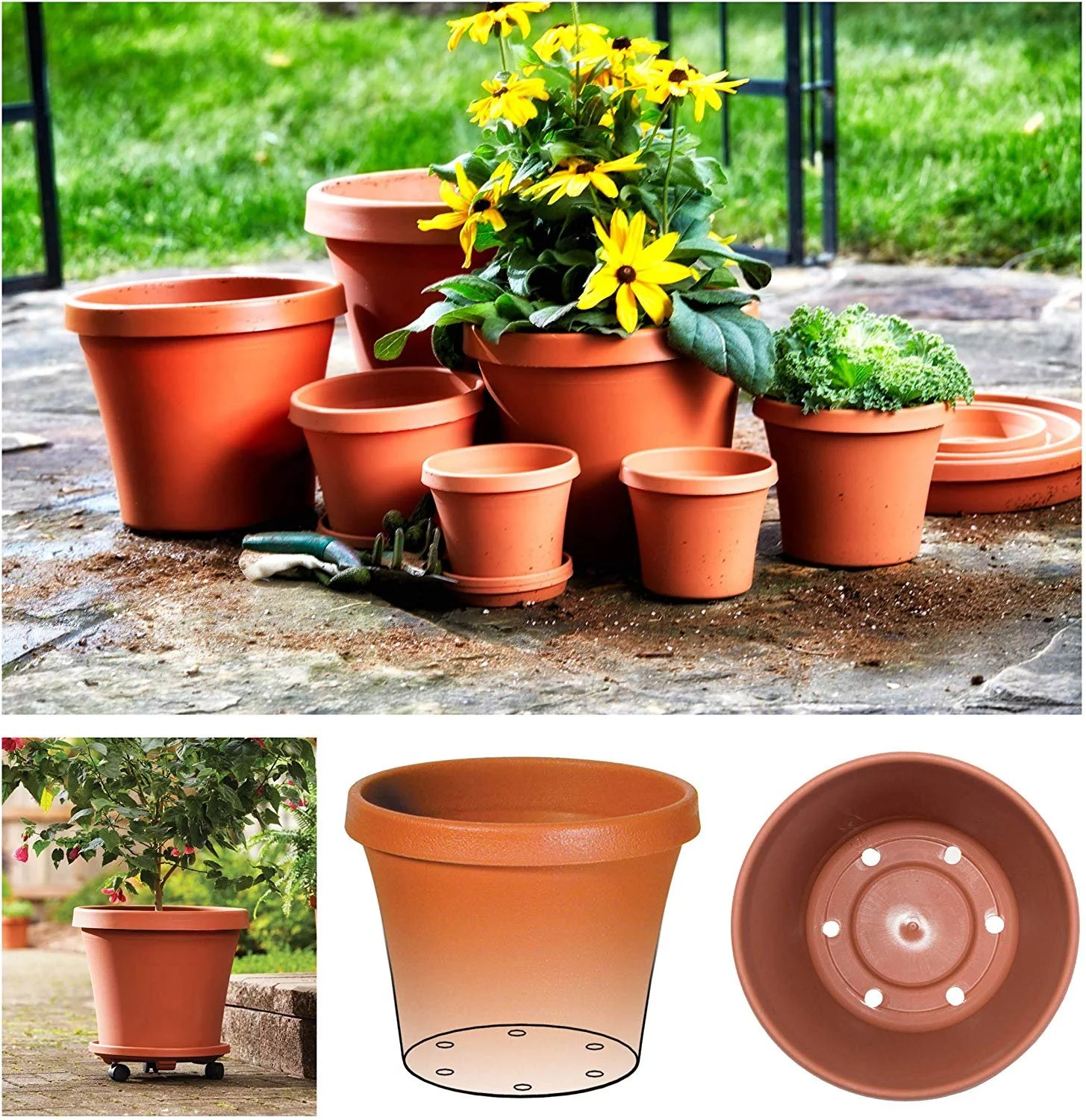 Bloem Terra Plastic Pot Planter 6