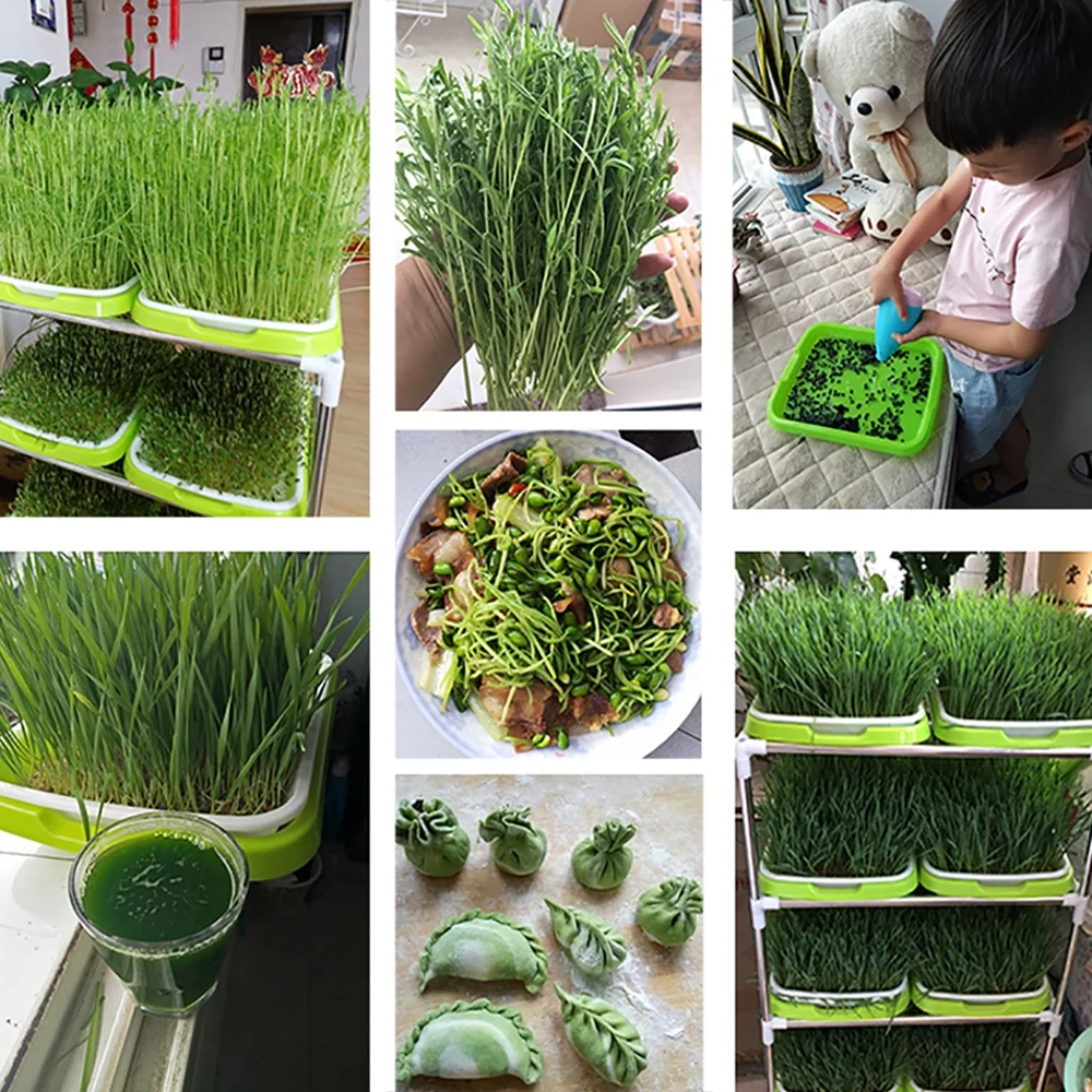 Style That Baby Seed Sprouter Tray Seed Sprouter Tray Seed Sprouter Tray Double Layer Soilless Tray Germination