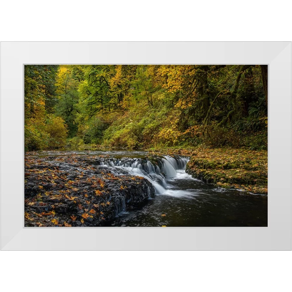 Jaynes Gallery 14x11 White Modern Wood Framed Museum Art Print Titled - USA-Oregon-Silver Falls State Park Waterfalls and forest in autumn