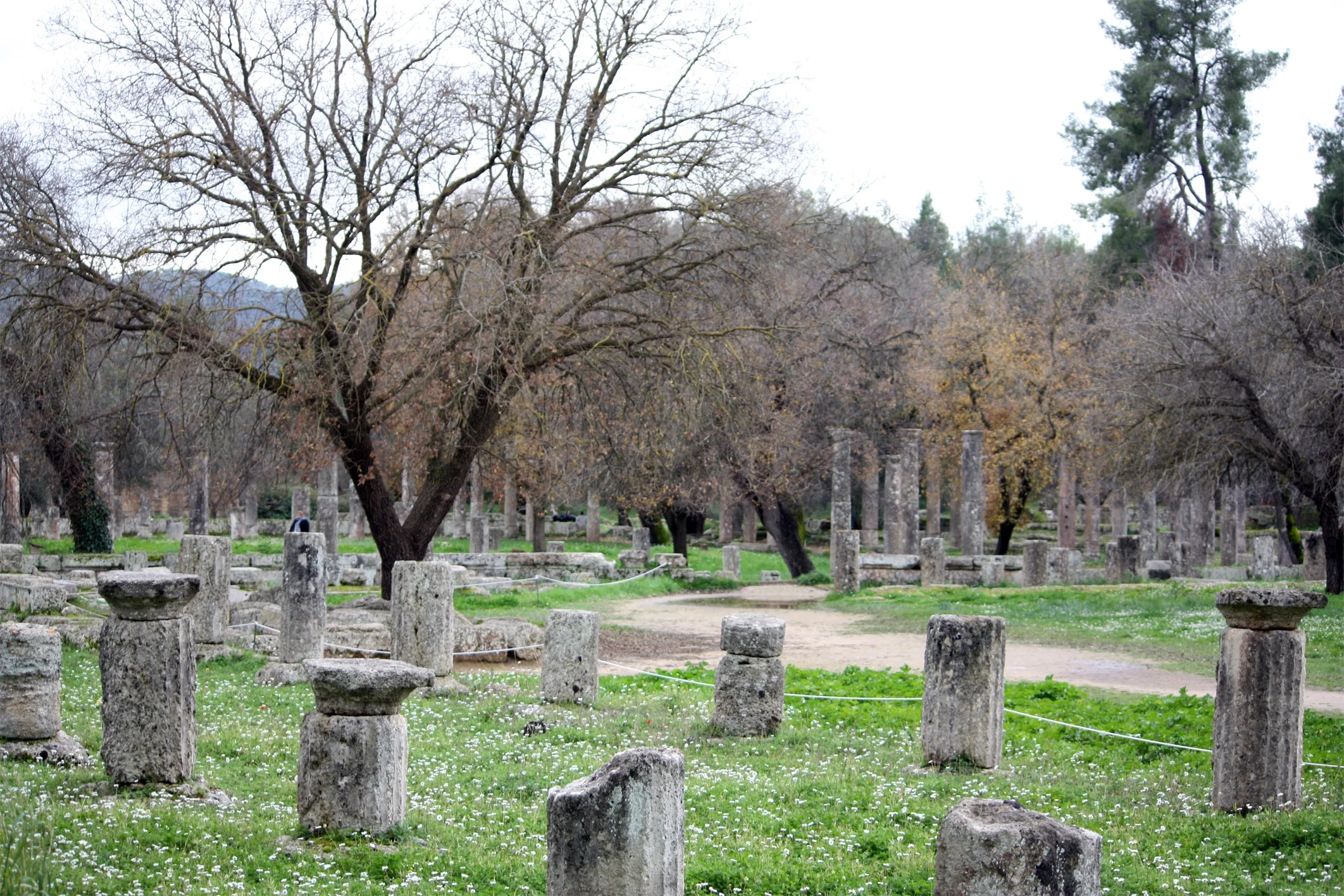 24x36 gallery poster, gymnasium and palaestra at Olympia, the site of the ancient Olympic games
