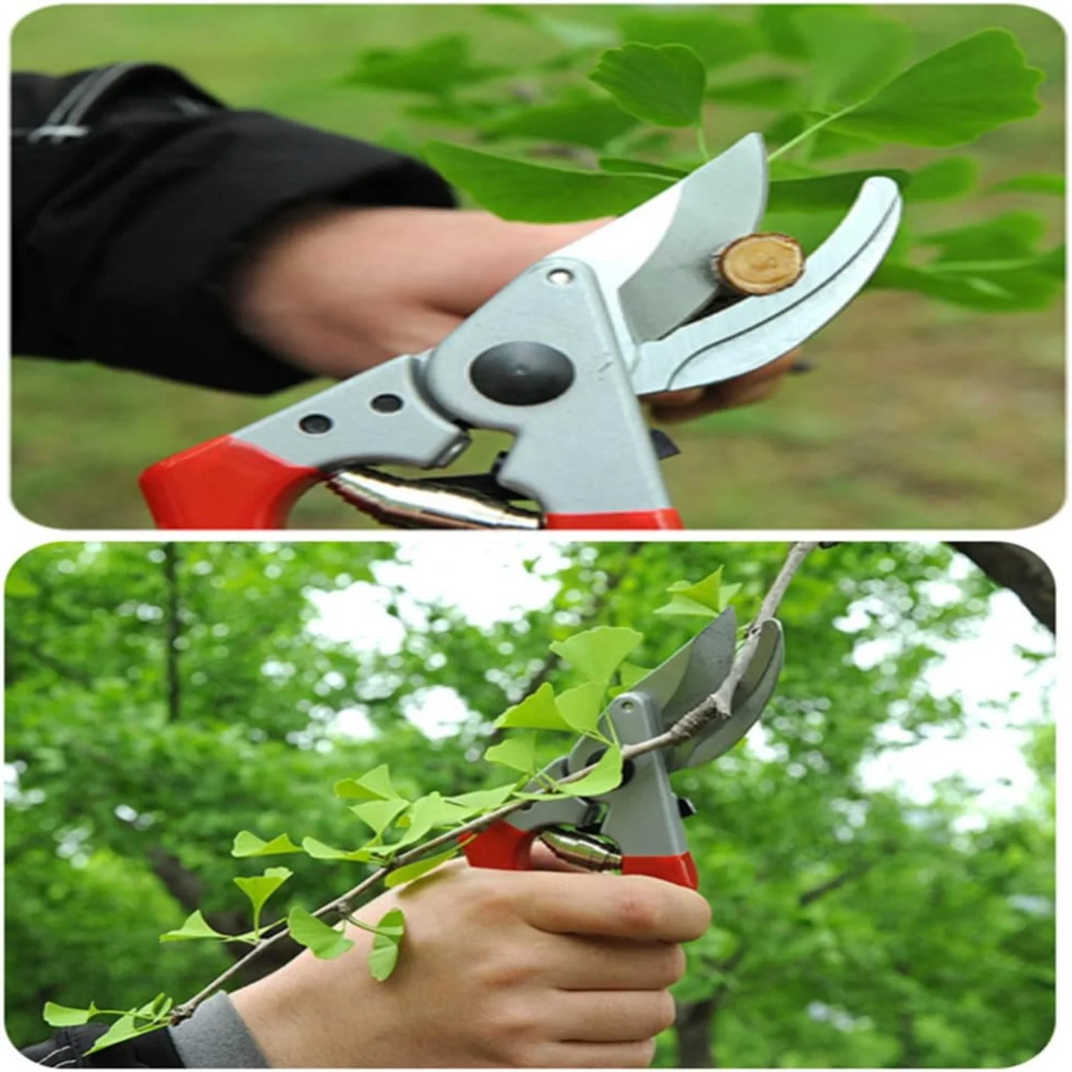 SZHDXSY  Bypass Pruning Shears - Premium Garden Shears   Plant Scissors  Tree Trimmers Secateurs Hand Pruner  Clippers The Garden   Cutters  Loppers Gardening tools Gardening shear