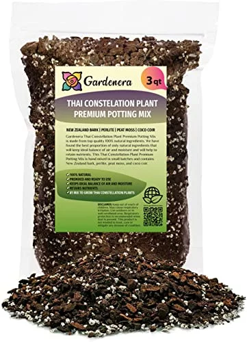 Thai Monstera Potting Soil - Promotes Optimal Drainage And Aeration For Foliage - 3 Quart