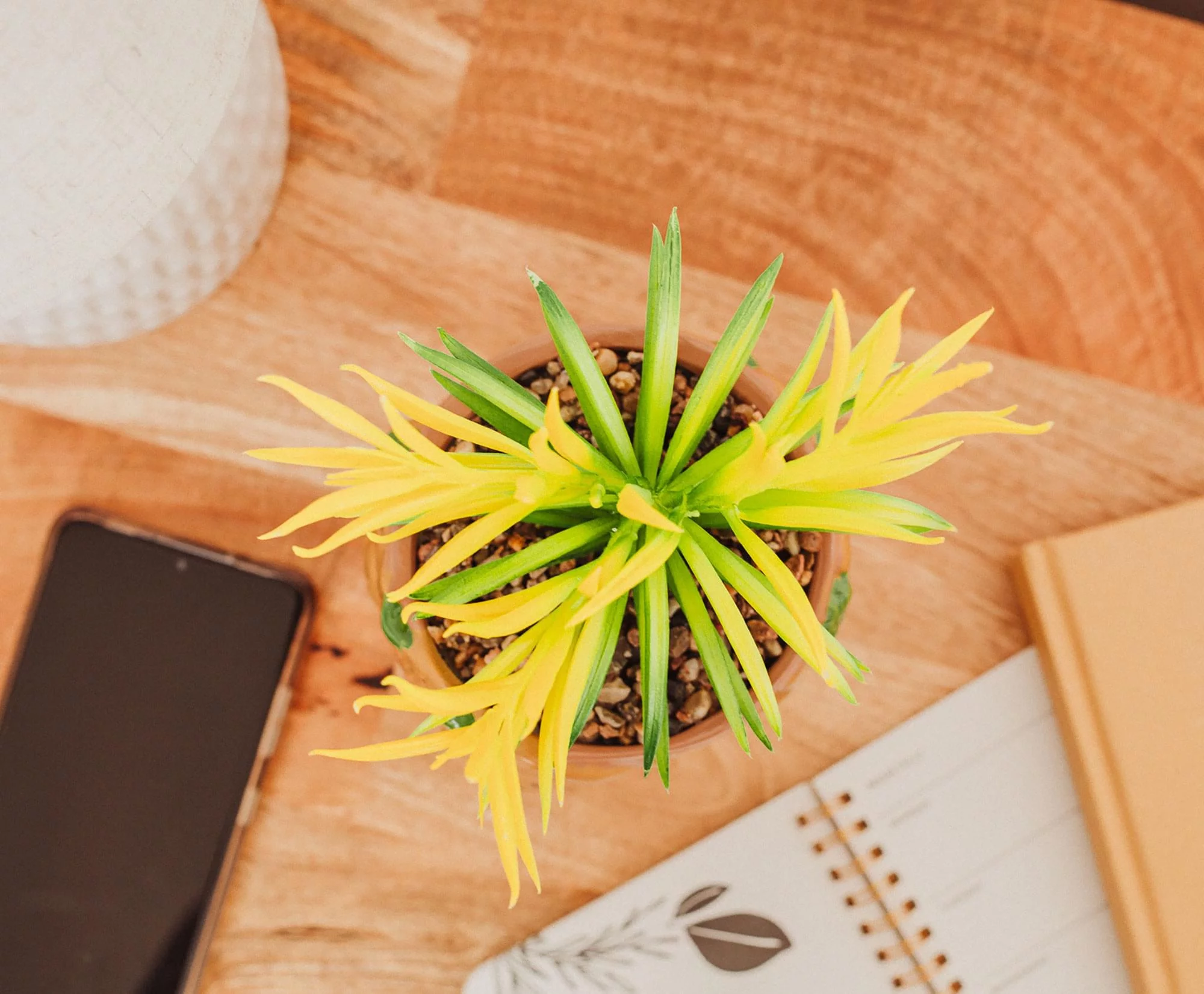 Marvel Guardians of the Galaxy Groot 4.8 x 4.25 x 7.6 Inch Ceramic Planter w/ Artificial Plant