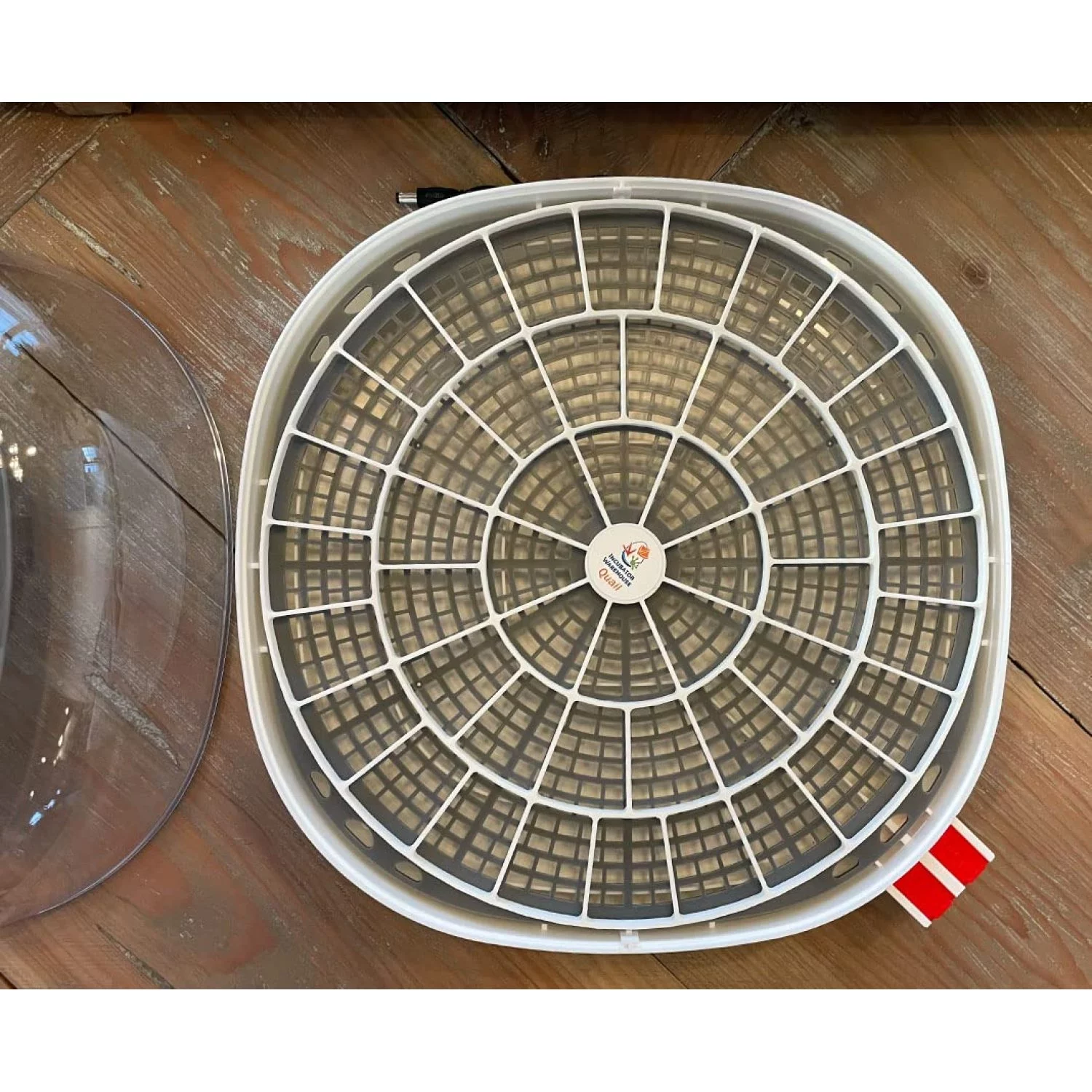 100 pcs Medium Multi-Gauge Rivet 3/16