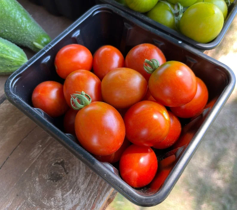 Sweet Prince Plum Tomato Premium Seed Packet