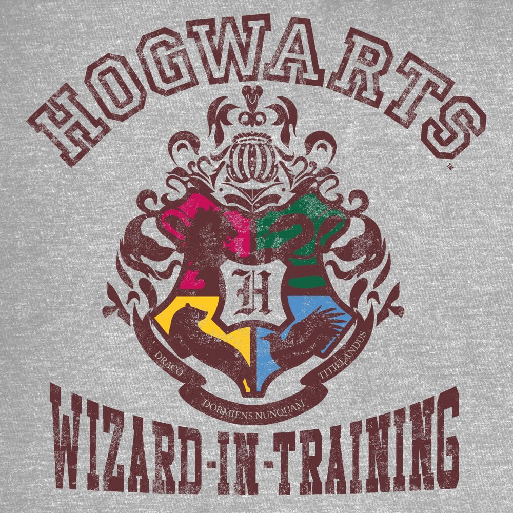 Harry Potter Hogwarts Wizard In Training Graphic Tee Boys T-shirt-X-Large