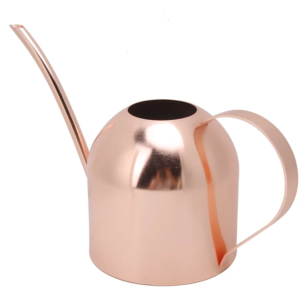 Ouitble Watering Can 1000ml Stainless Steel Watering Can Sprinkle Pot Long Mouth Garden Flowers Plants Water Container