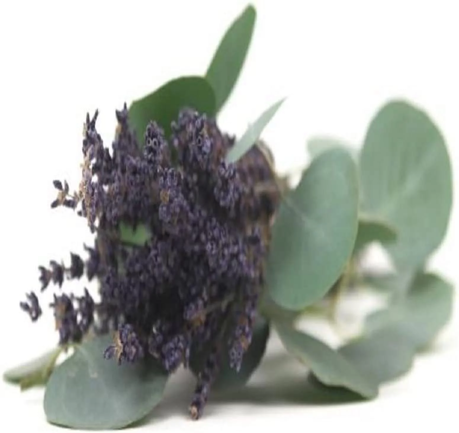 Lavender Eucalyptus 64 oz Bottle for Candle Making, Soap Making, Tart Making, Room Sprays, Lotions, Car Fresheners, Slime, Bath Bombs, Warmers