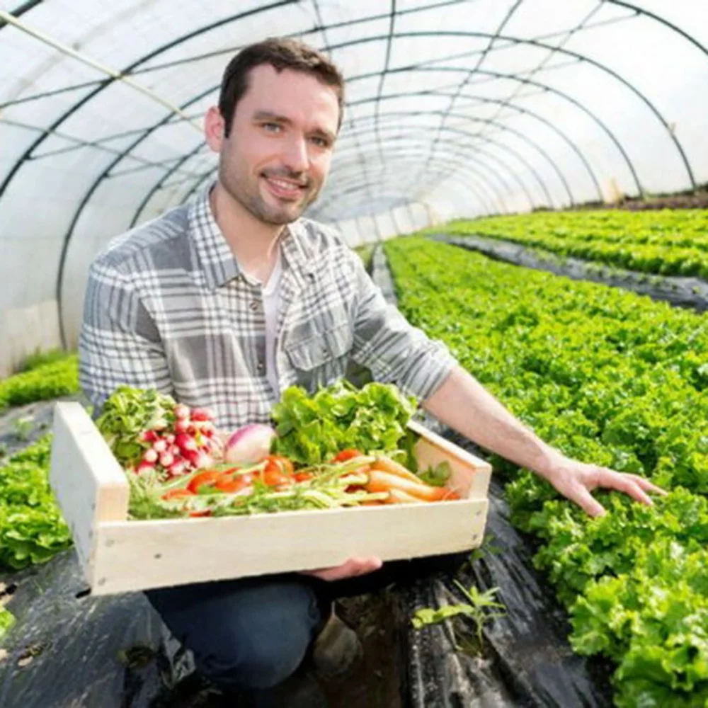 Clear PE Greenhouse Growhouse Covers & Frame Garden Plant Grow Poly Film