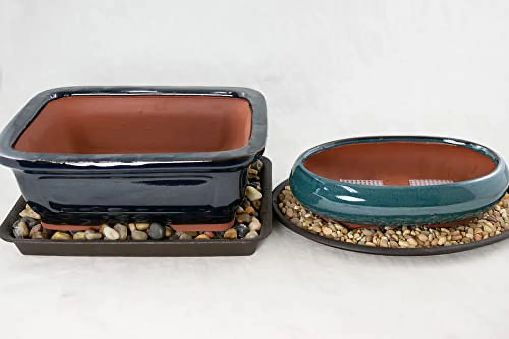 2 x Amazing Glazed Bonsai/Cactus & Succulent Pot + Tray + Rock + Mesh Combo