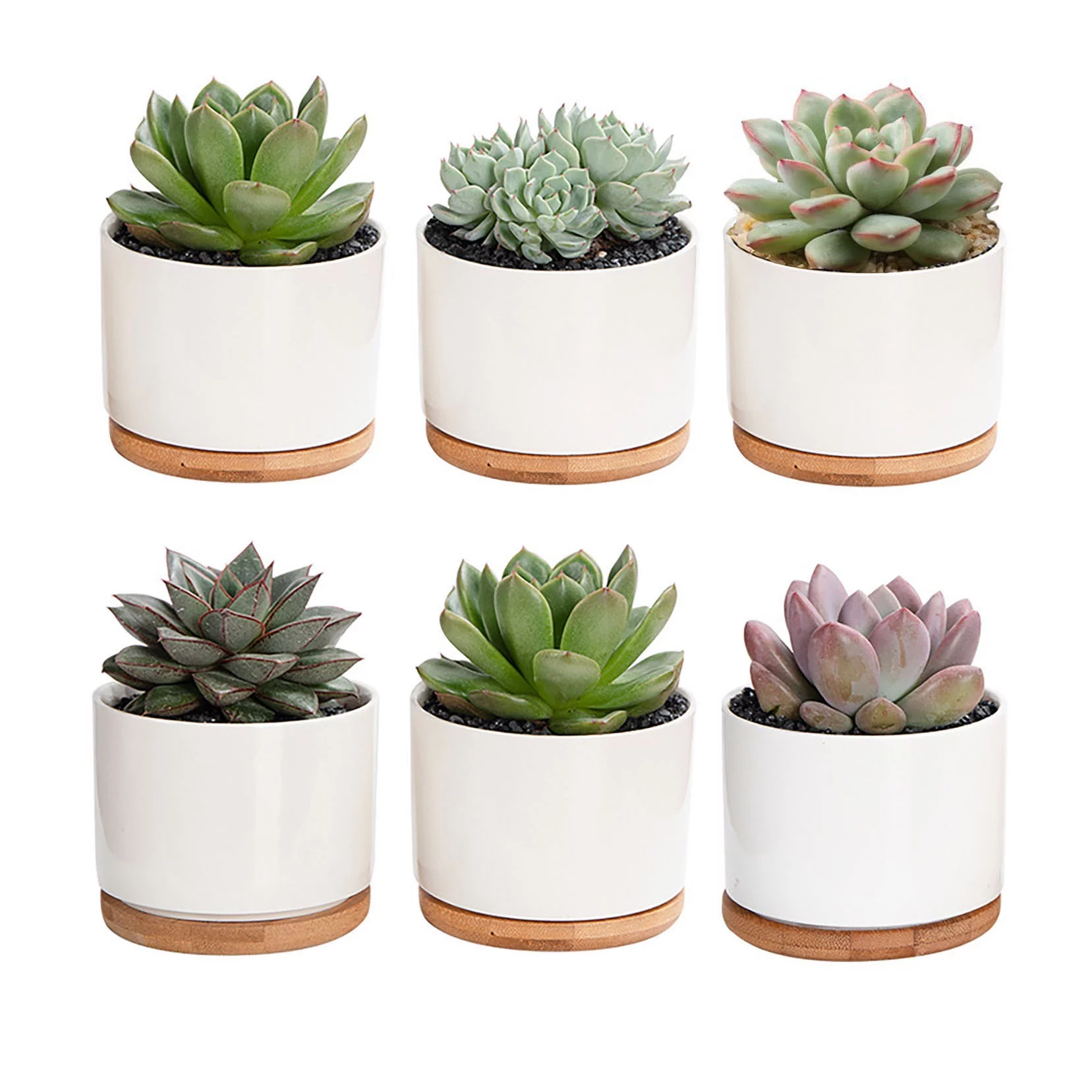 Succulent Pots,White Mini 3.15 inch Ceramic Flower Planter Pot with Bamboo Tray, Pack of 6 - Plants Not Included