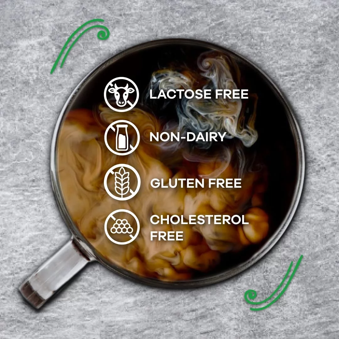 Coffee-mate Coffee Creamer Sugar Free Creamy Chocolate, Pack of 1 (10.2 Ounce)